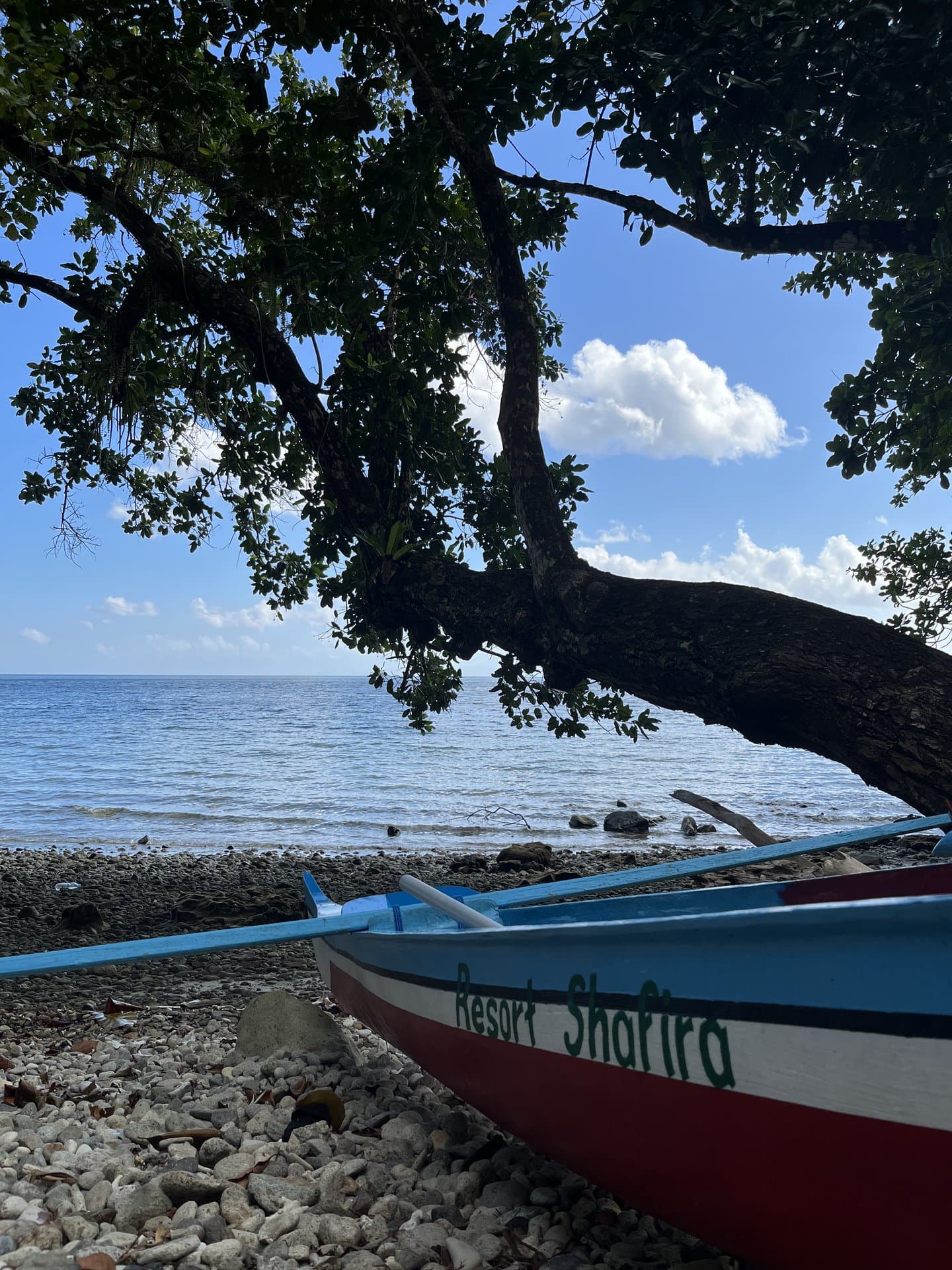 Perahu Resort Shafira di pantai berkarang dengan pohon rindang dan laut Morella