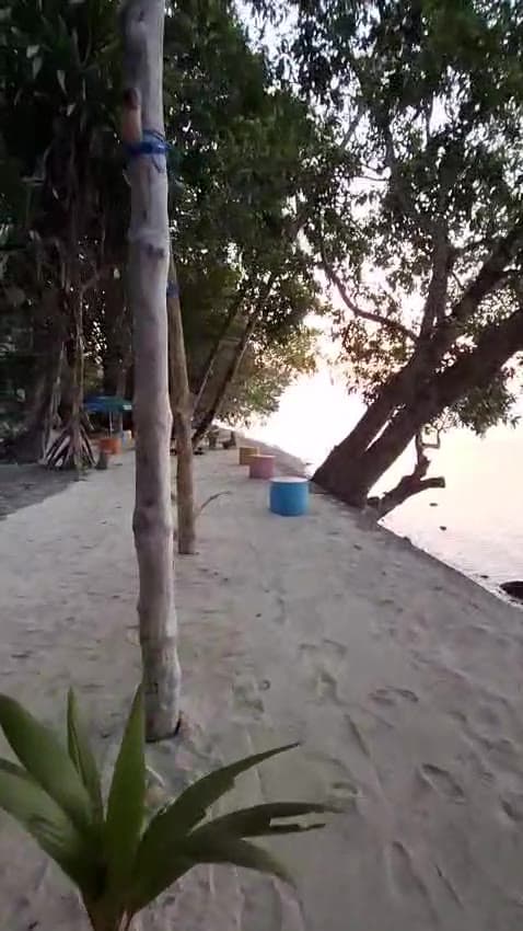 Video pemandangan tepi Pantai Memit Shafira Resort — pasir putih, pohon rindang, dan langit senja